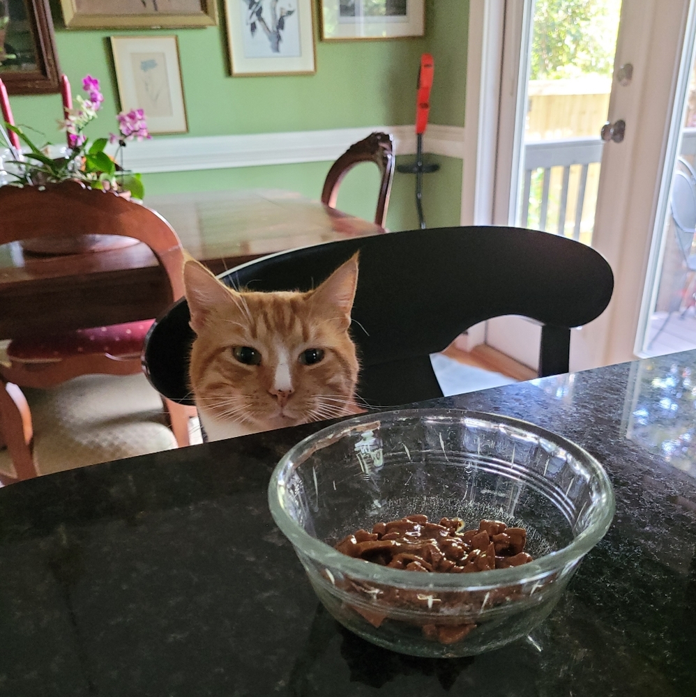 Meet your Posher, Jody